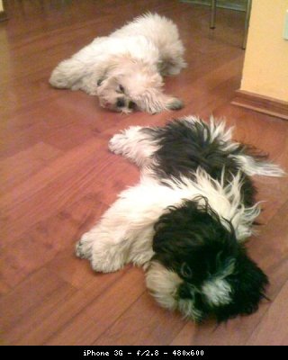 charlie_lilly_1264688347_813664