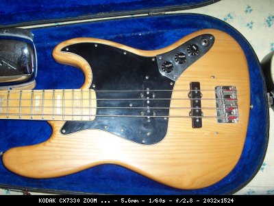 torti_030_1261662629_114998