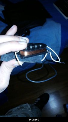 11291756_10206663198967818_647778587_n