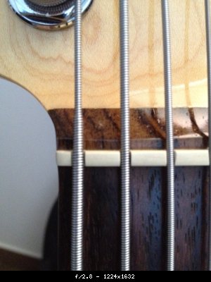 rsz_photo_09_03_12_13_09_30