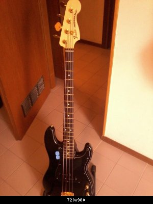 522398_511517325564542_906300704_n