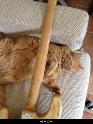 image_1402939740_370703