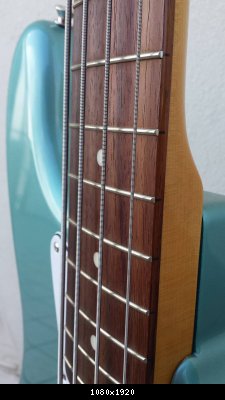 14339299_10208799524497624_627434186_o