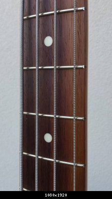 14339381_10208799523697604_1940077876_o