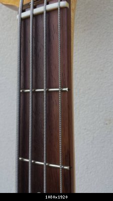 14340041_10208799524337620_135822317_o