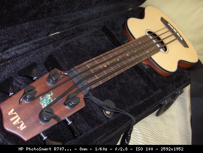 paletta_1280342547_125668