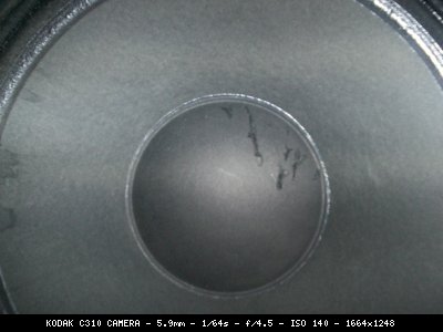 100_1773_1281441337_288582