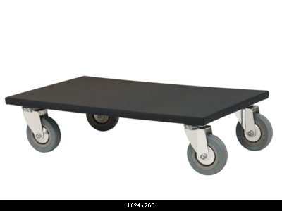 b_warwick_carrellinorc24901b