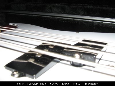 img_0308_1260639631_874146