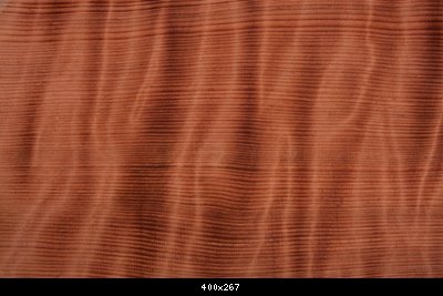 curly_redwood_006_com